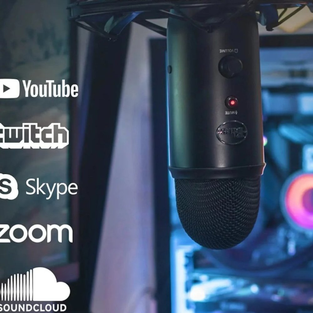 Microphone - Picture 2 of 4